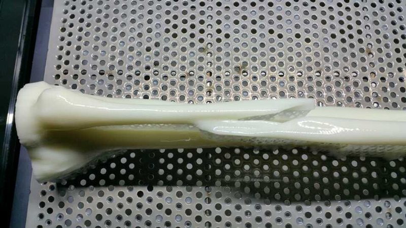Результат - 3D модель кости с переломами на лотке для печати после завершения процесса ее изготовления