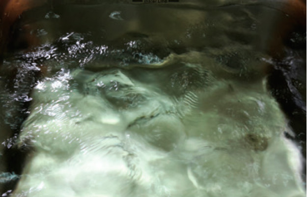 Воздействие ультразвука на воду Без колебания о колебаниях