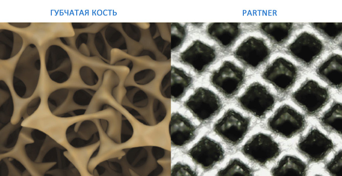 Сетка Partner, изготовленная на 3D-принтере EP-M250, под микроскопом